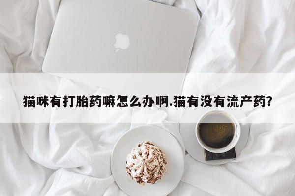 打胎药在线购买微信猫咪有打胎药嘛怎么办啊.猫有没有流产药？